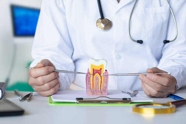 Best Root Canal Emergency Dentist  in Honsville, GA